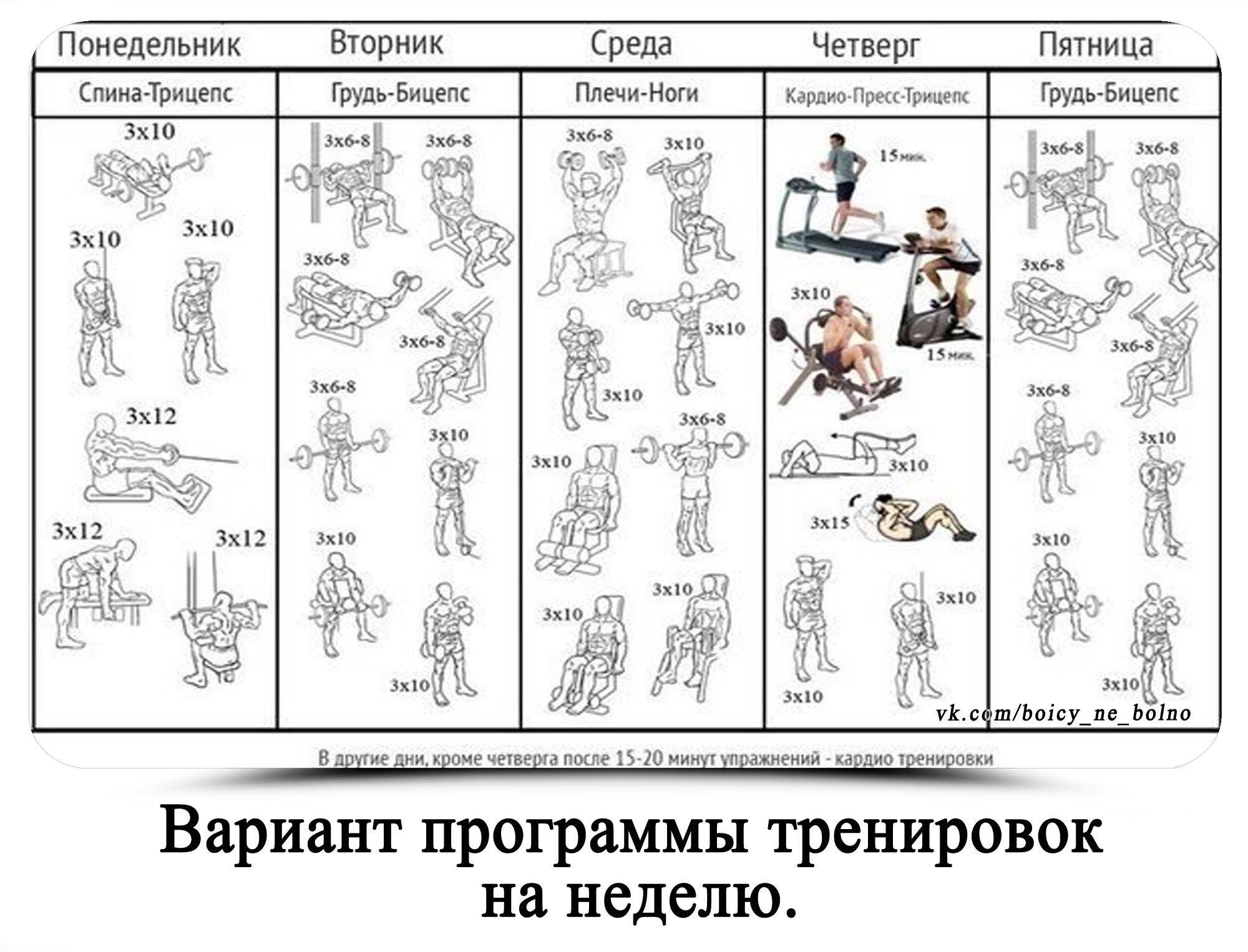 Фулбоди или сплит? описание систем, особенности тренировки, примеры программ