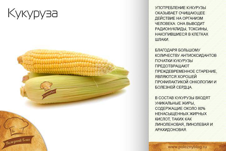 Подсчитываем, сколько калорий в кукурузе :: syl.ru