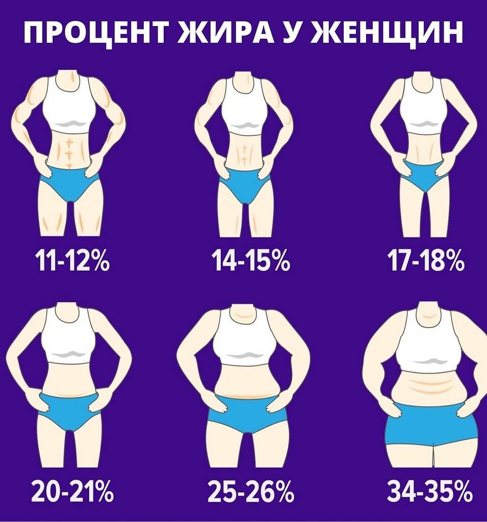 Познавательно: норма процента жира в организме мужчин и женщин