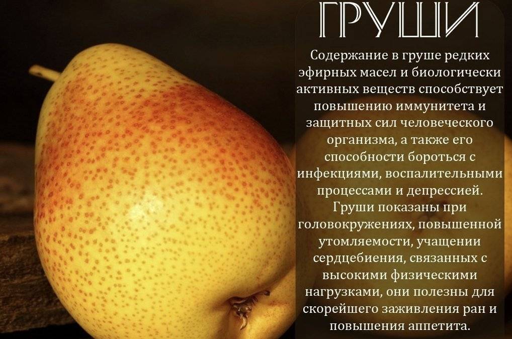 Сколько калорий в груше: зеленой, "вильямс" или "пакхам" :: syl.ru