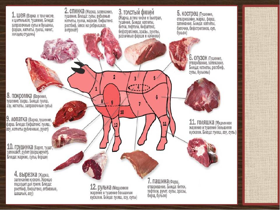 Какая часть говядины лучше всего подходит для супов