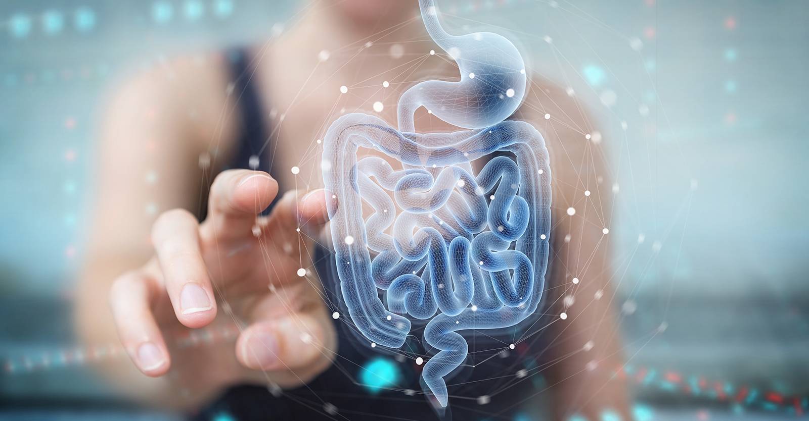 Микробиота кишечника: почему мы с бактериями — единое целое — wonderzine