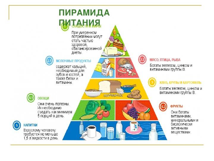Пирамида питания – цели и рекомендации ученых по здоровому питанию |