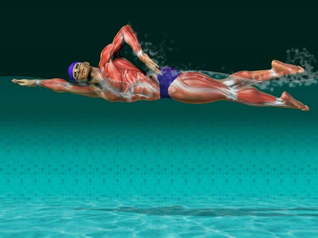 Польза плавания для здоровья: 20 причин пойти в бассейн