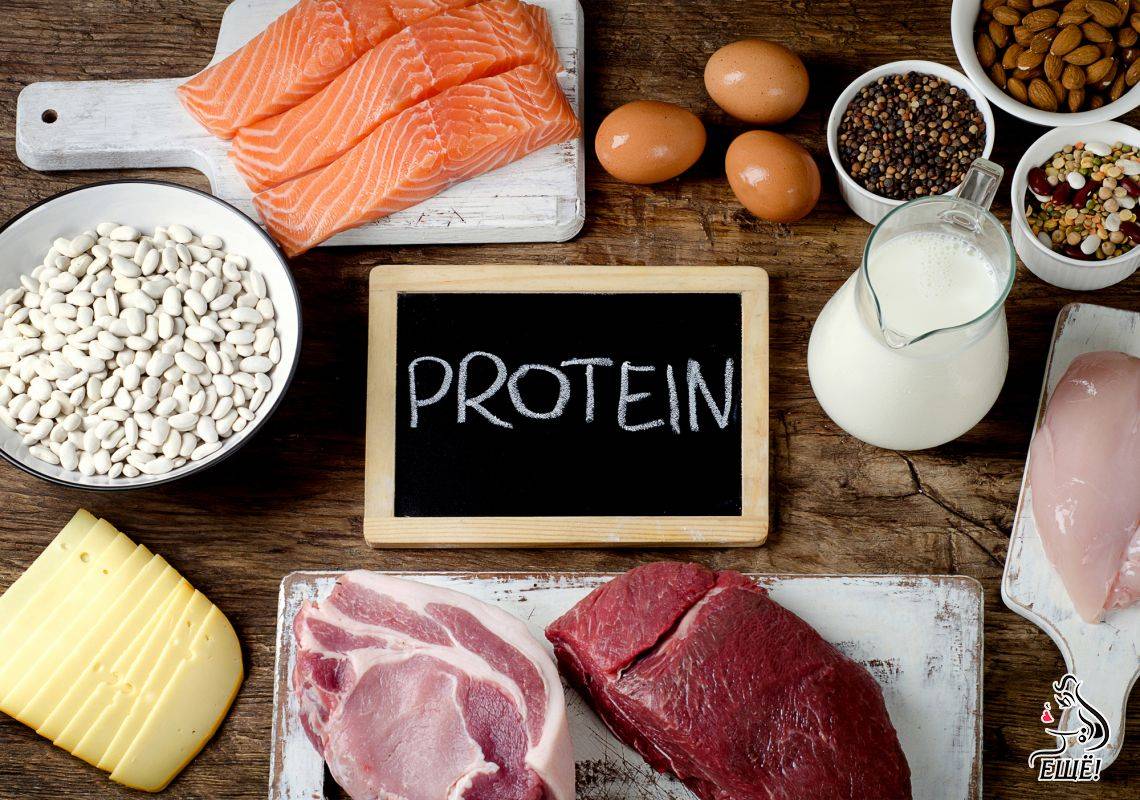 В каких продуктах содержится белок?