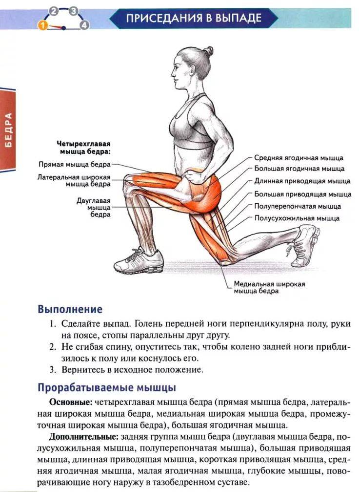 Теория и практика для тех, кто хочет научиться делать приседания на одной ноге (пистолет) | rulebody.ru — правила тела