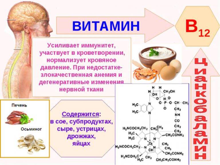 Витамин b12: для чего нужен организму, полезные свойства и противопоказания