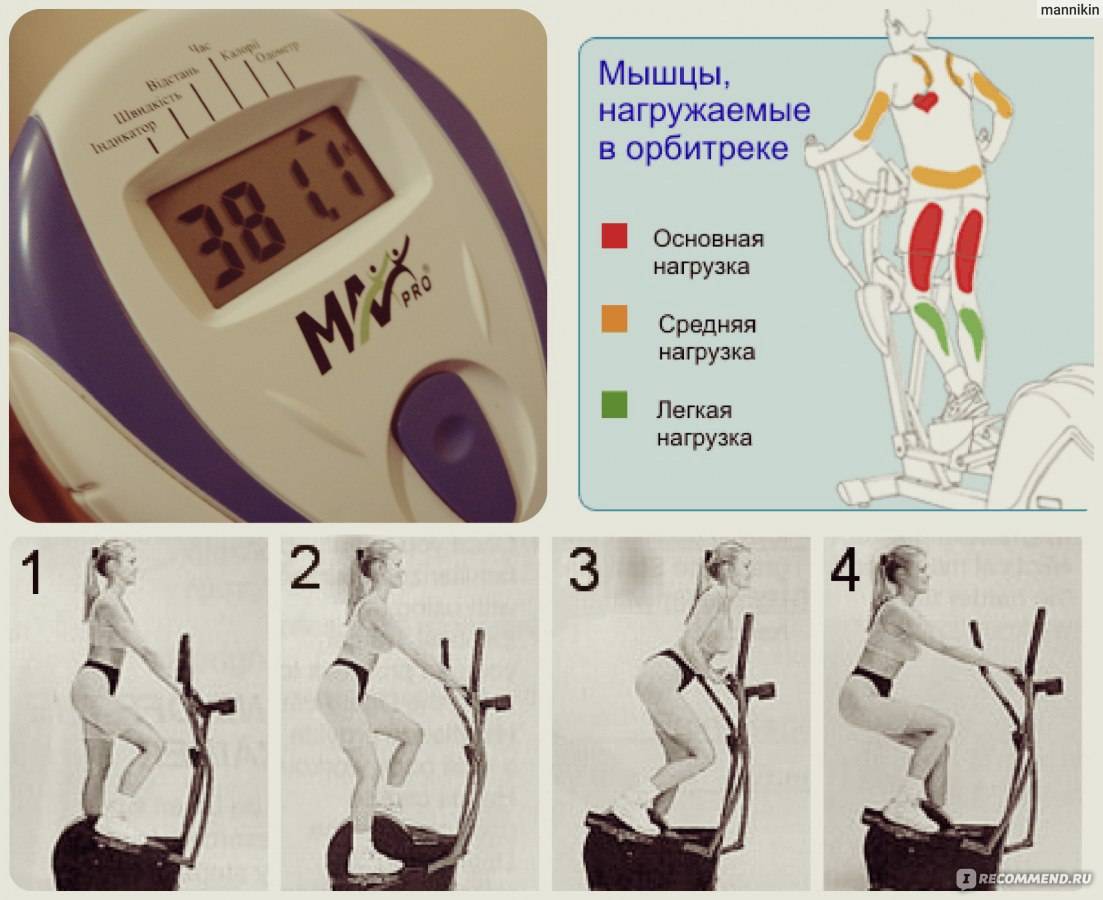 Эллиптический тренажер на какие группы мышц действует фото