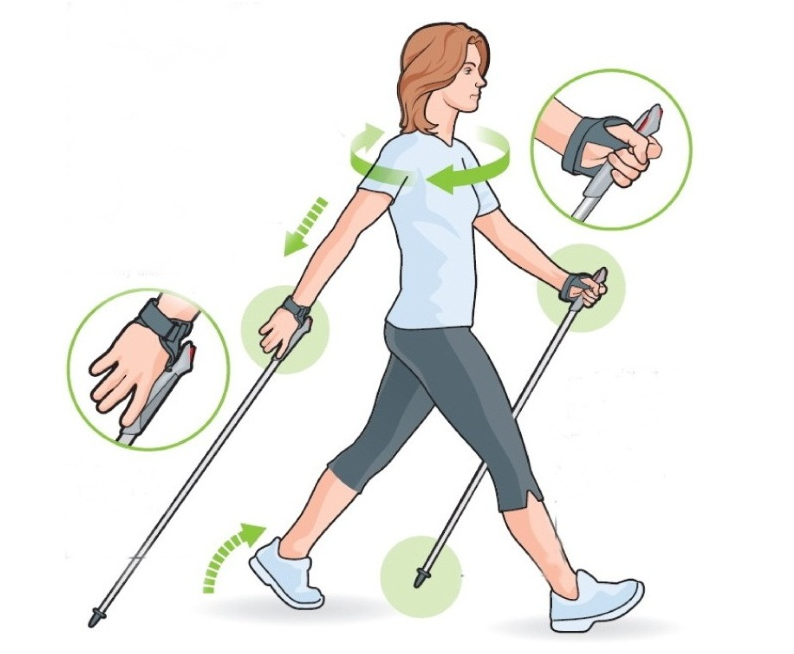 Спортивная ходьба — как правильно заниматься спортивной ходьбой?
