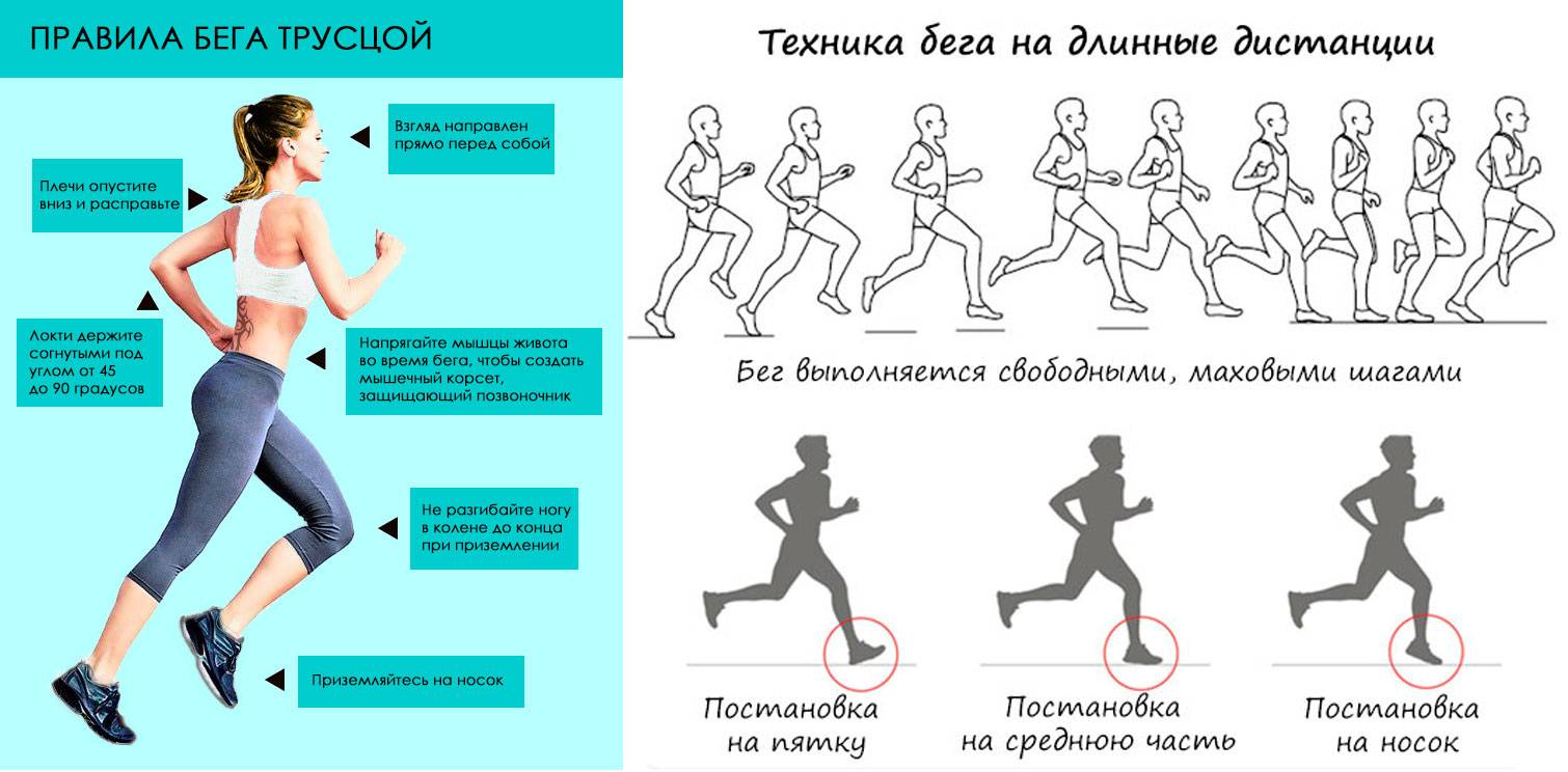 Как правильно заниматься на беговой дорожке, чтобы похудеть?. интернет-магазин fitnesslook.ru
