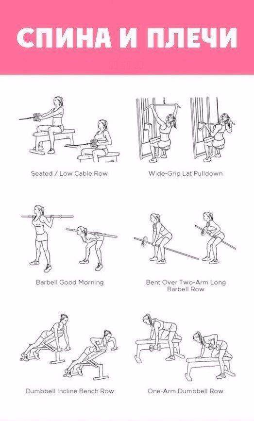 Упражнения в зале для девушек: комплексы упражнений для рук, спины, пресса, ног и программа для похудения