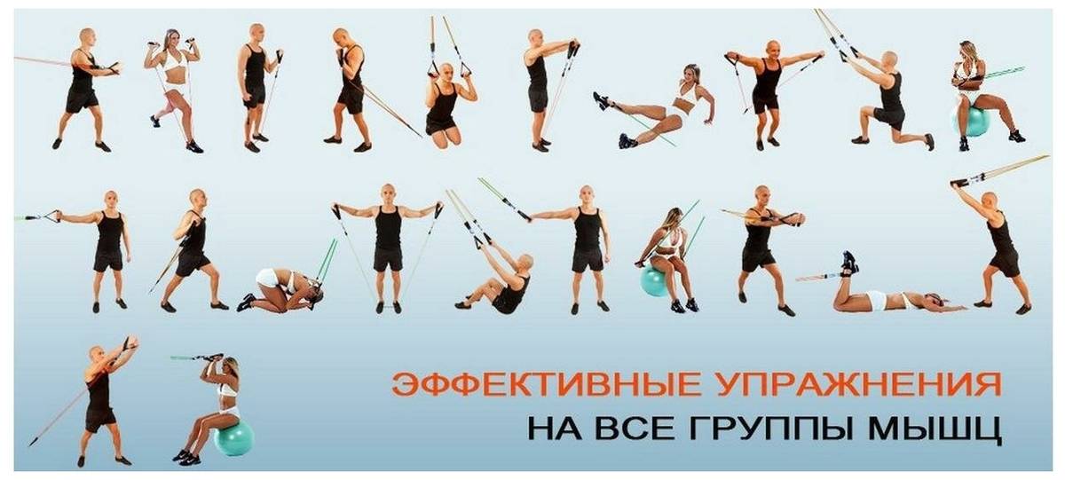 Комплекс упражнений с эспандером на все группы мышц для женщин и мужчин