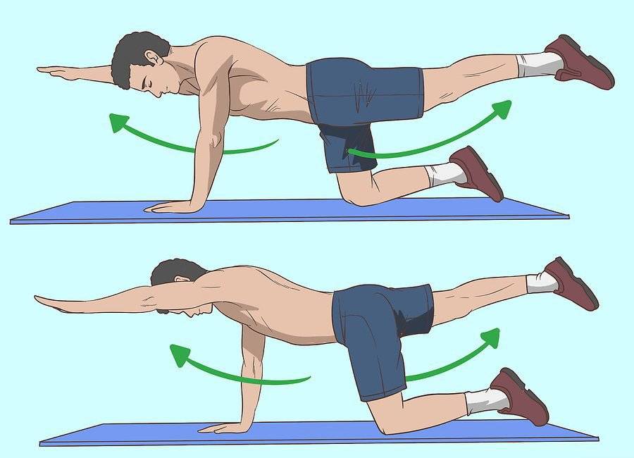 Упражнения для поясницы – как укрепить низ спины