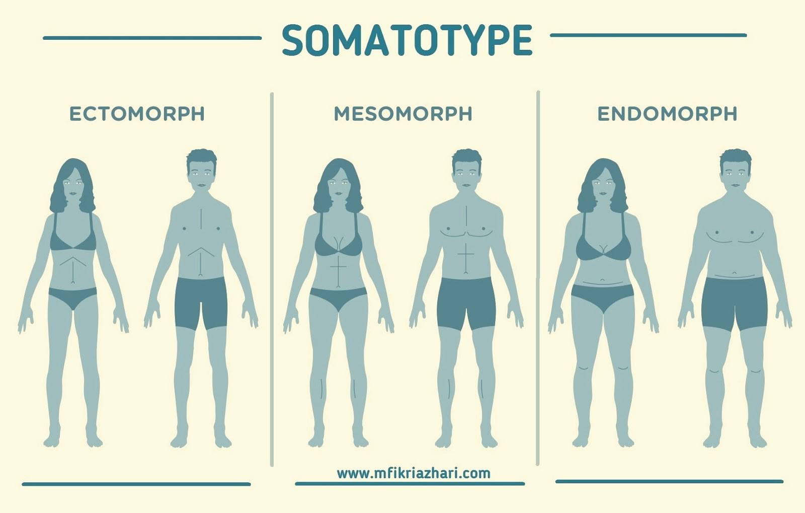 Типы телосложения или огромное надувательство: мезоморф, эктоморф и эндоморф не существуют