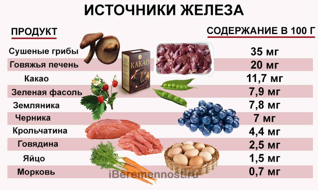 Топ-10 продуктов с высоким содержанием железа - l’officiel