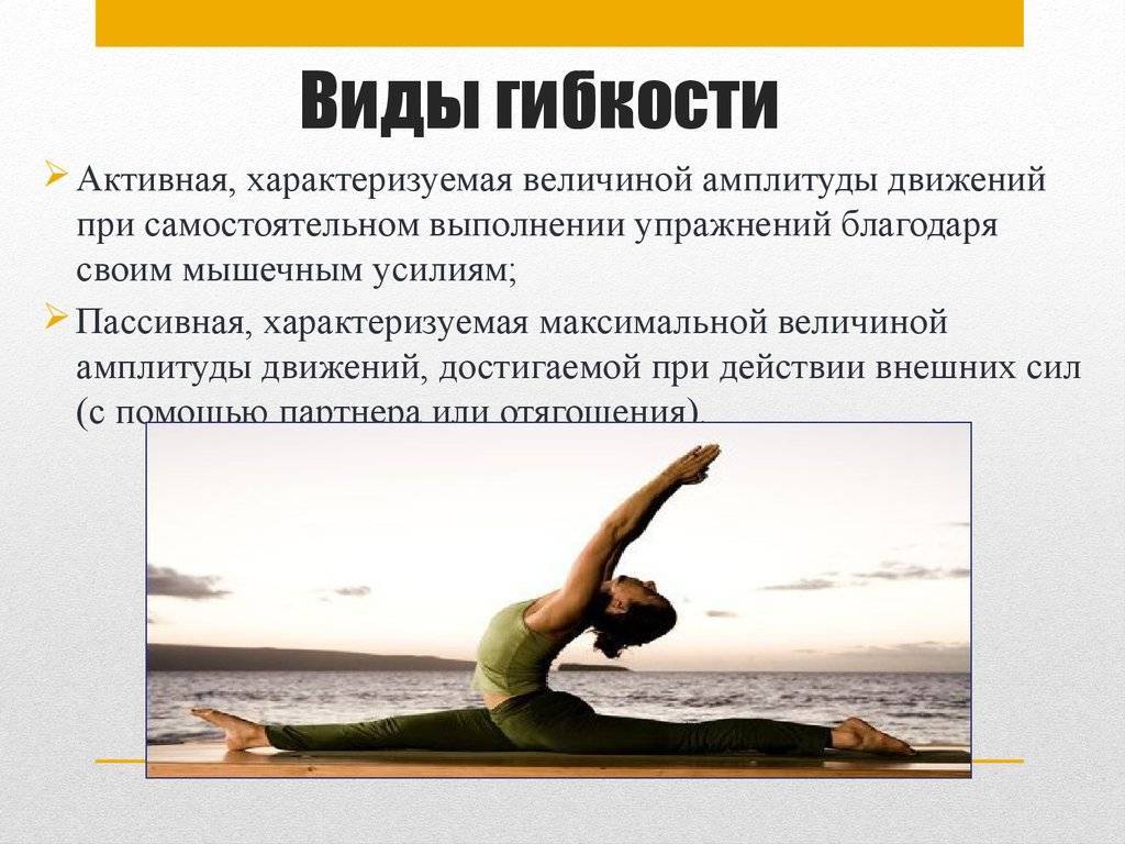 Сайт о плавании: гибкость - виды, обуславливающие факторы, методы развития, упражнения на растягивание