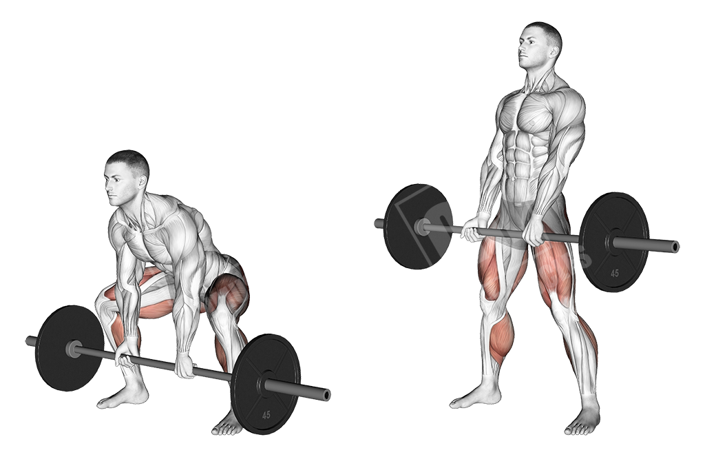 Становая тяга сумо: техника выполнения, какие группы мышц работают, лучше ли классики