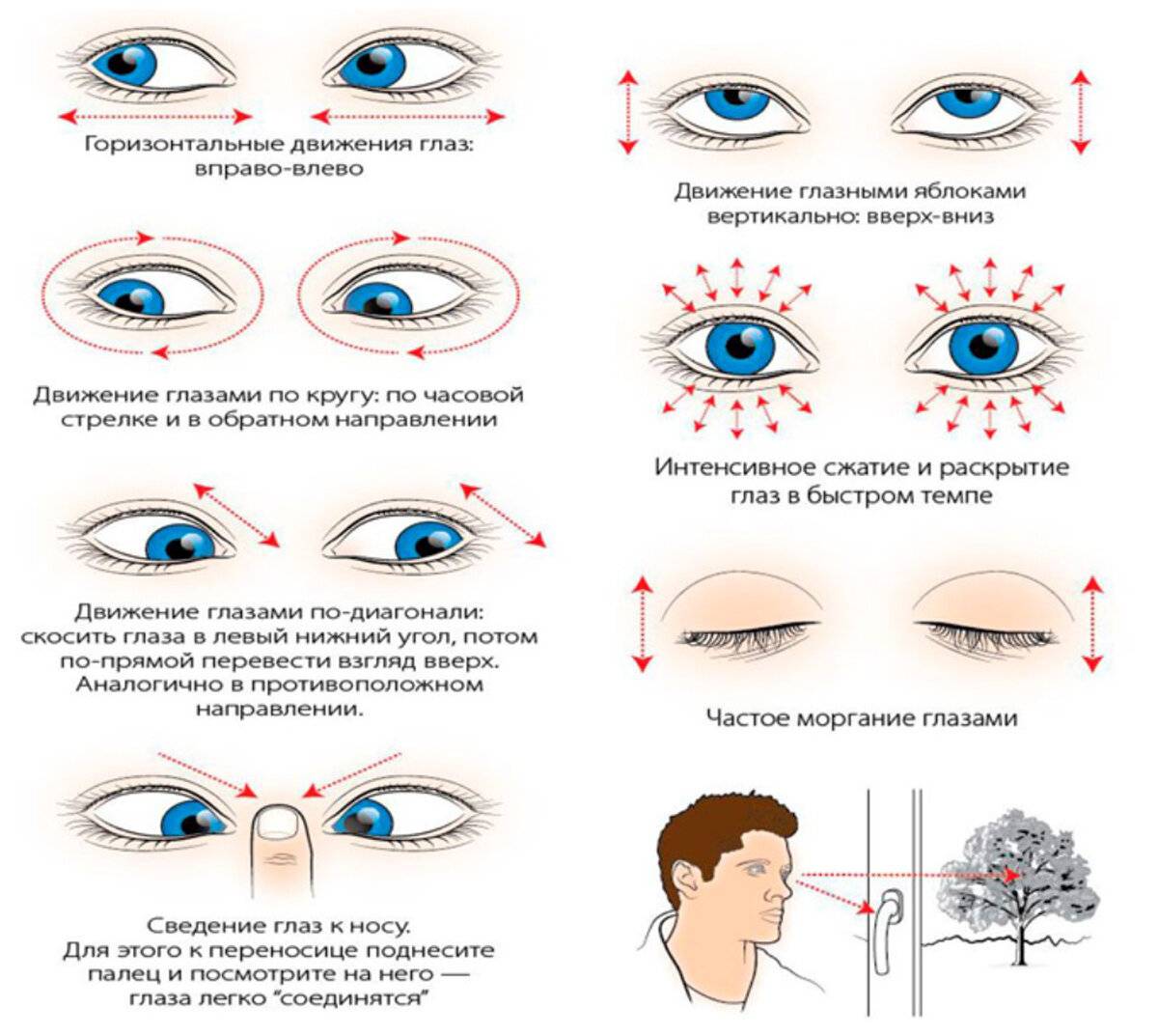 Урок 5. комплексы упражнений для ежедневной тренировки и профилактики зрения