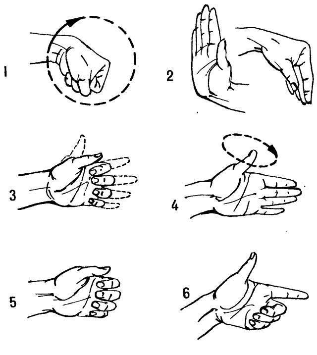 Гимнастика (упражнения) для пальцев рук: для гибкости, моторики, при артрите, артрозе