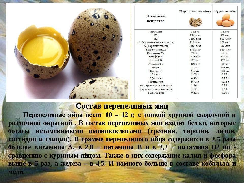 Перепелиные яйца: польза и вред, сколько варить, рецепты блюд и масок для лица и волос