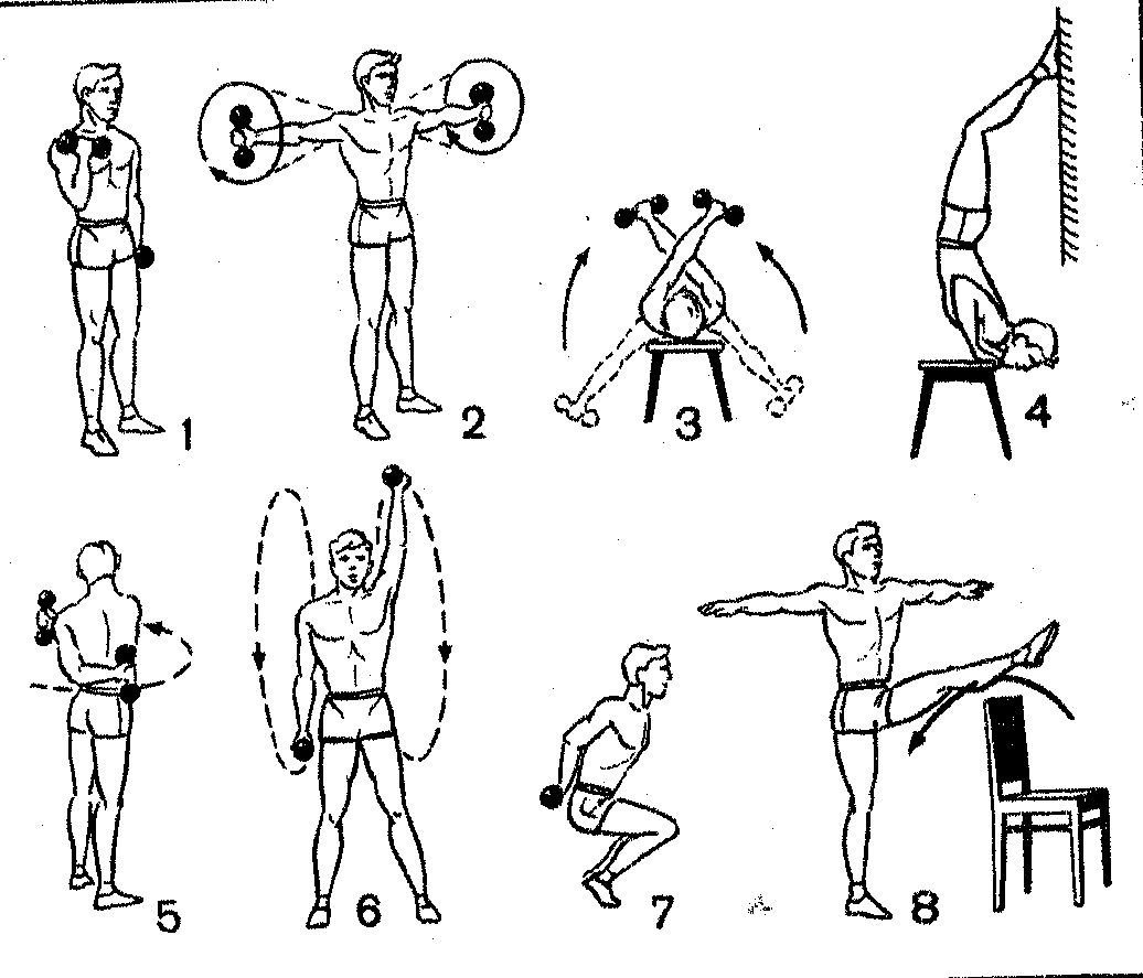 Упражнения с гантелями для мужчин и женщин в домашних условиях