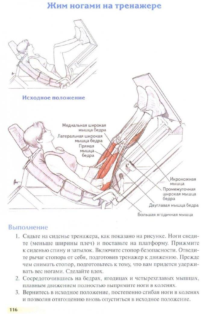 Жим ногами в тренажере лежа и сидя: техника выполнения