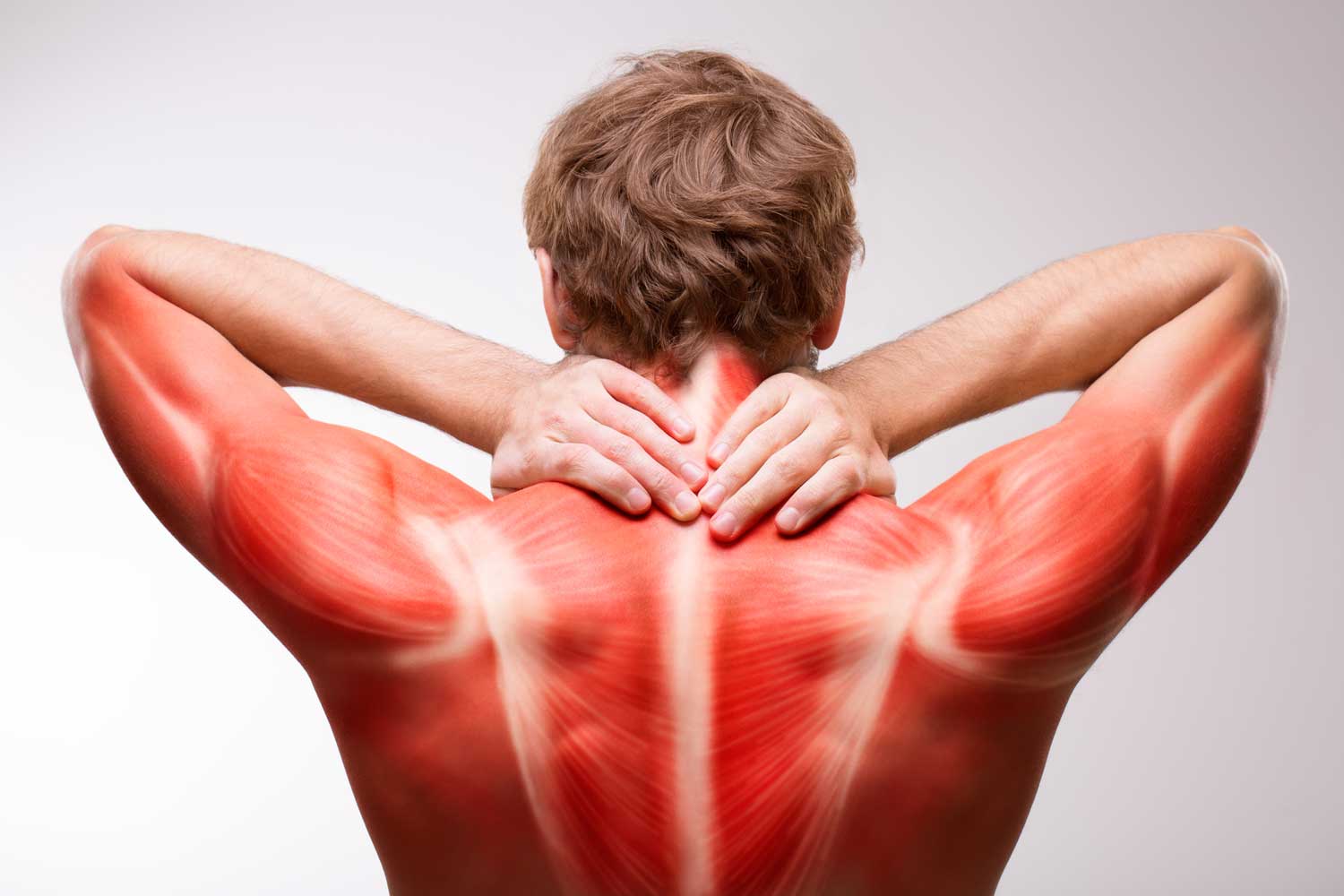 Мышечные судороги. что делать при судорогах в мышцах?