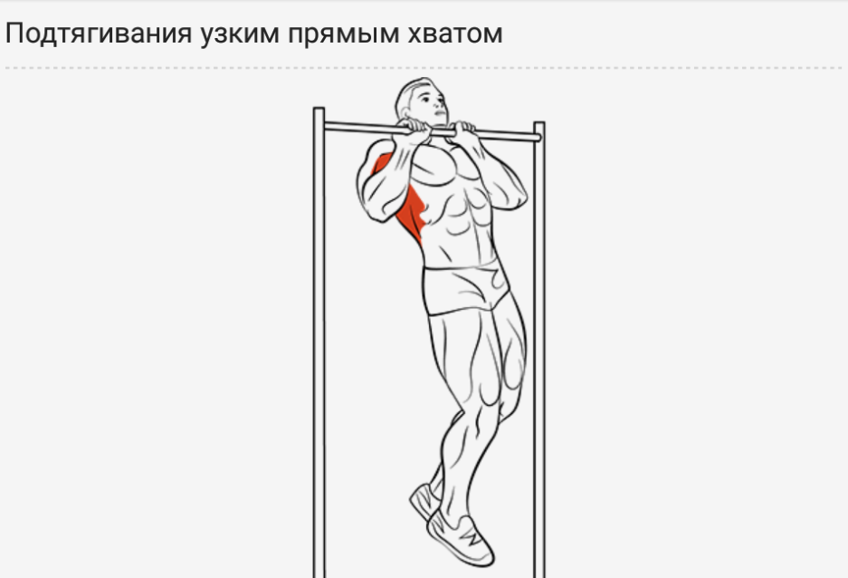 Подтягивания узким хватом: техника выполнения от а до я | rulebody.ru — правила тела