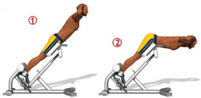 Как правильно заниматься на тренажере гиперэкстензия | техника упражнений на гиперэкстензии для всех групп мышц