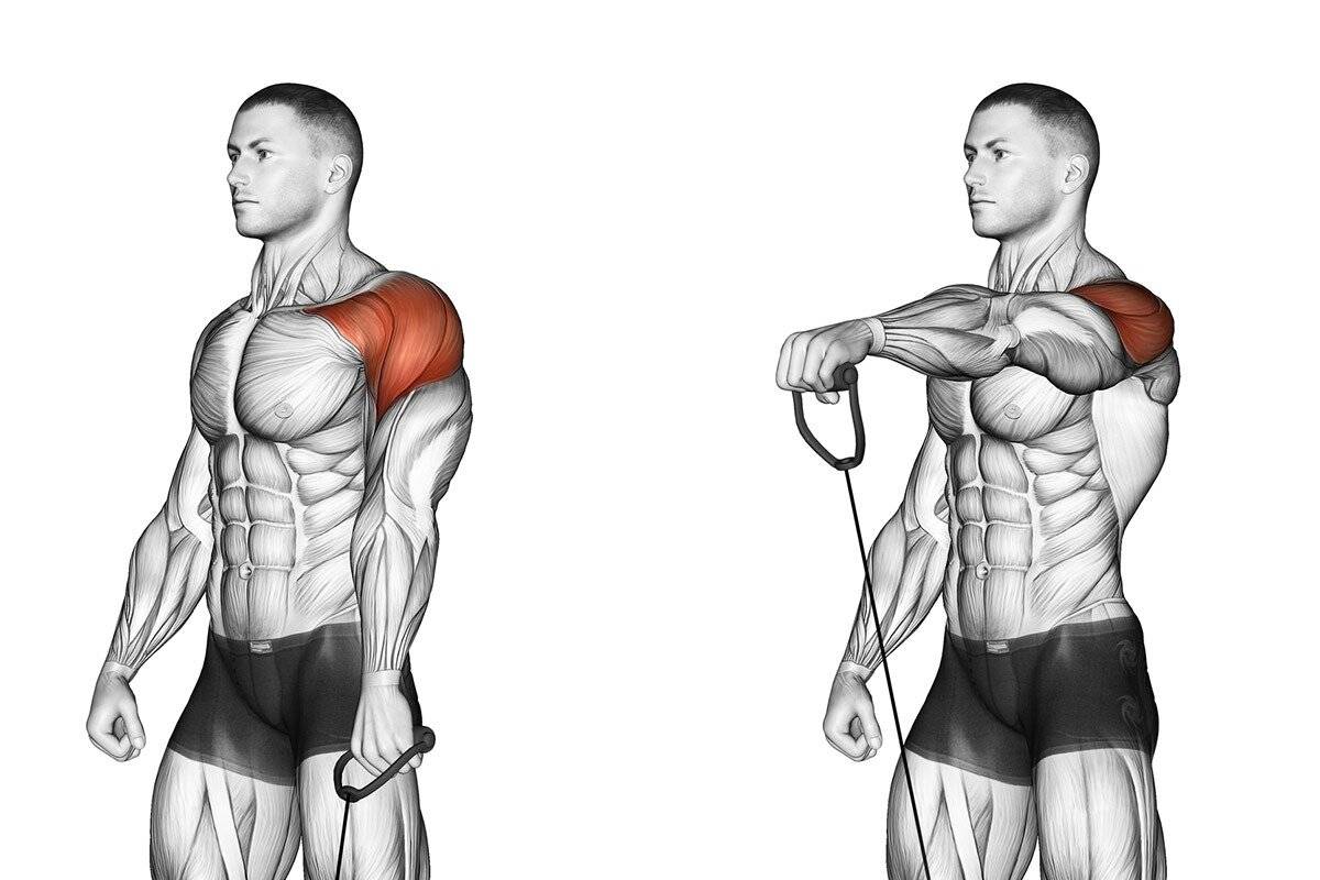 Упражнения для плеч с гантелями: как накачать плечи мужчине в зале и в домашних условиях