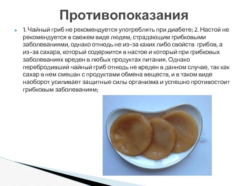 Чайный гриб: полезные свойства и противопоказания, применение, польза и вред для женщин, мужчин, волос, кожи