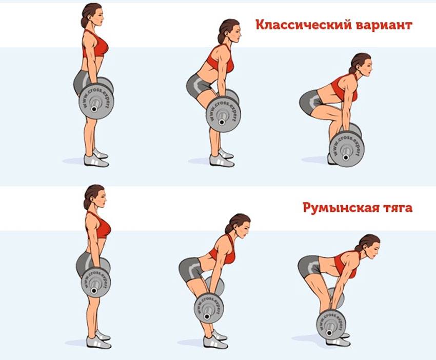 Упражнение становая тяга: правильная техника выполнения для женщин