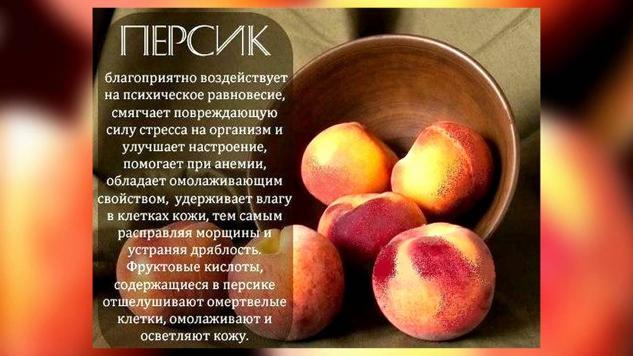 ✅ консервированные персики: польза и вред, сколько калорий, бжу, какие есть витамины - tehnoyug.com