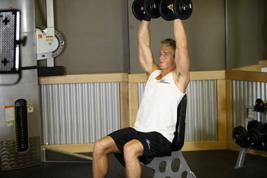Жим арнольда ➤ упражнение для тренировки дельтовидных мышц, техника
