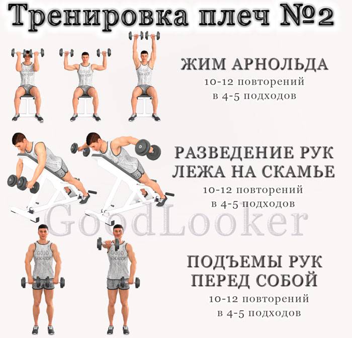 Упражнения в домашних условиях для набора мышечной массы