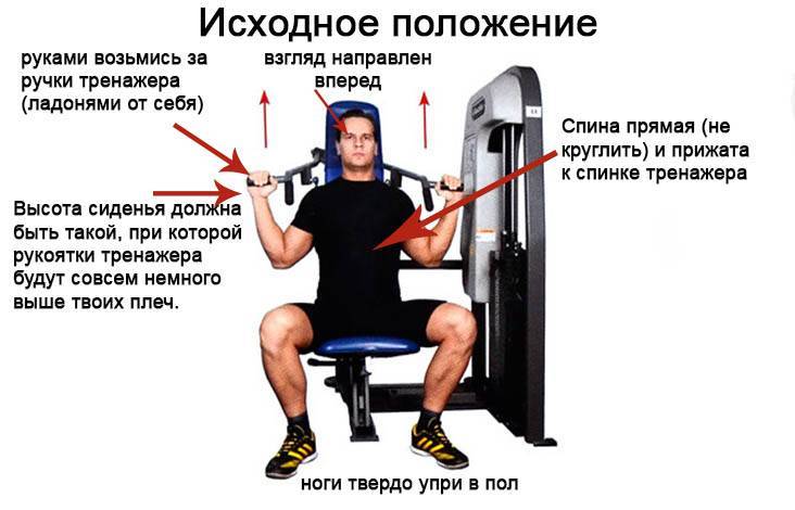 Жим на тренажере от груди сидя: подробная техника выполнения упражнения