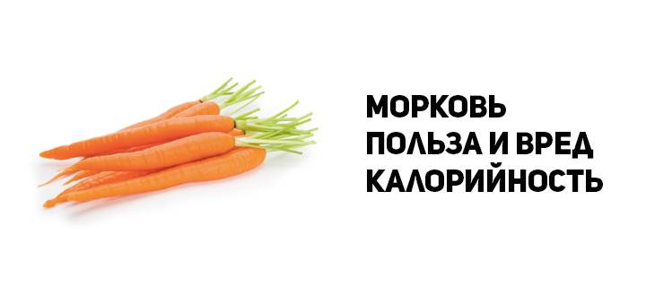 Польза моркови — 10 доказанных свойств для здоровья организма