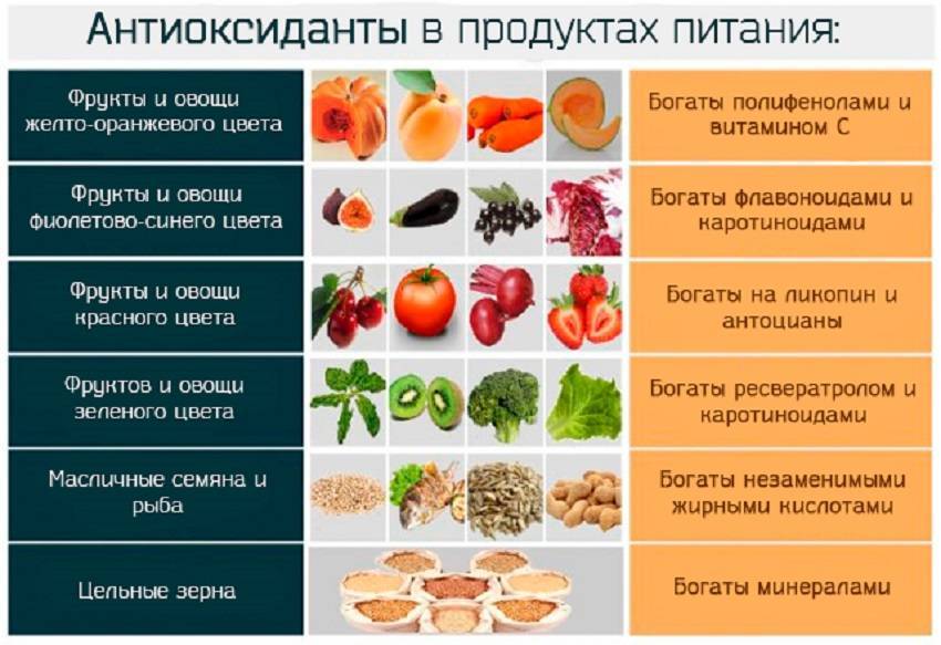 Что есть, чтобы не стареть: 16 самых мощных продуктов-антиоксидантов - parents.ru | parents