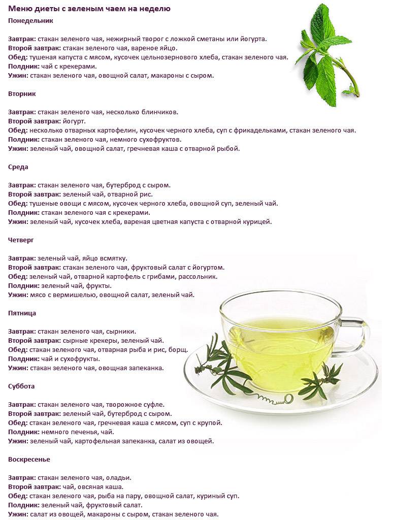 Польза и вред зеленого чая для организма - поможет ли зеленый чай похудеть?