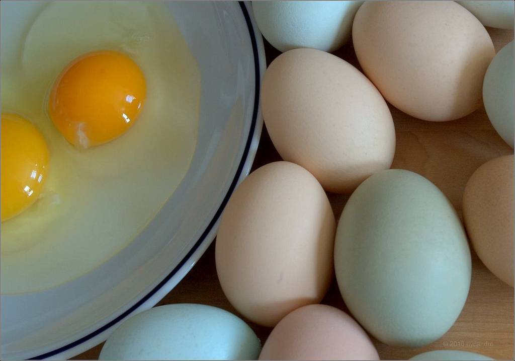 Яичный желток: калорийность, польза и вред | food and health