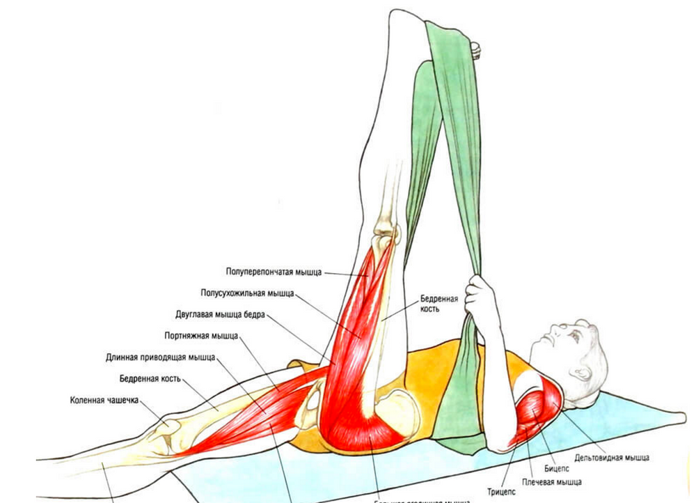 Потянула ногу болит. Растяжка подвздошно большеберцового тракта. Растяжка двуглавой мышцы бедра. Растяжение четырехглавой мышцы бедра упражнения. Растяжение связок задней поверхности бедра.