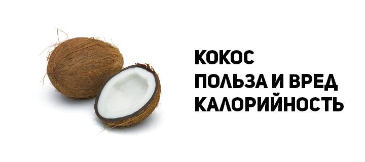 Калорийность кокоса