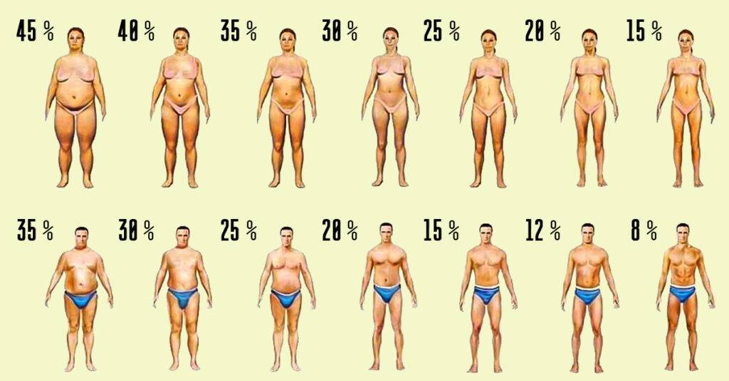 Онлайн калькулятор для рассчёта процента жира в организме у женщин и мужчин – какая норма содержания у здорового человека?