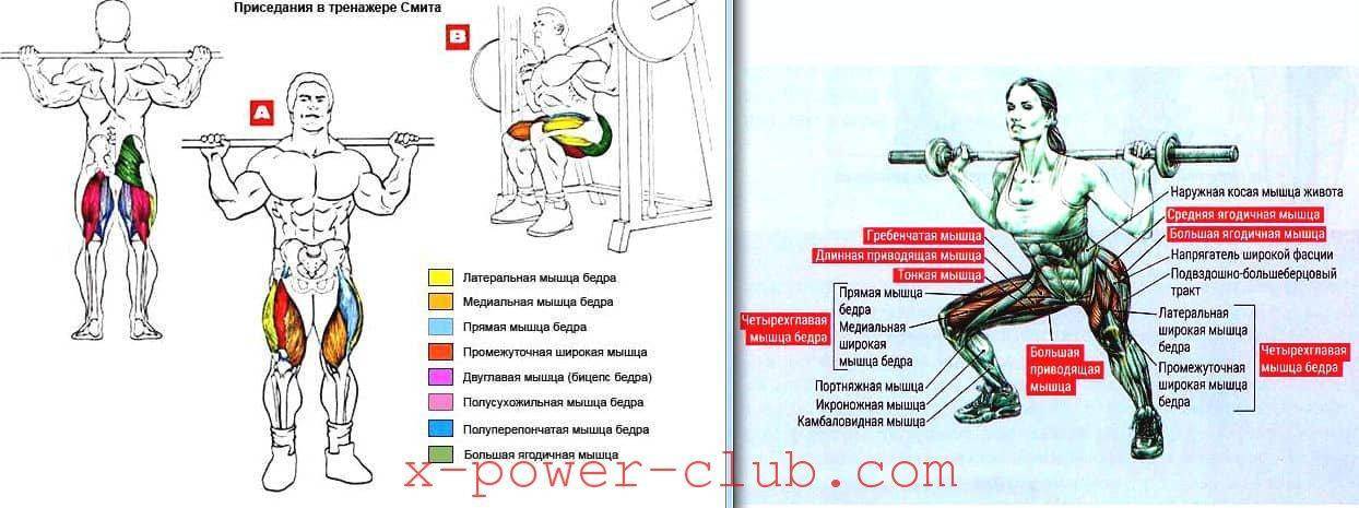 Приседания плие (сумо): 5 вариантов выполнения упражнения, техника выполнения, польза (приседание плие с гантелей и штангой)