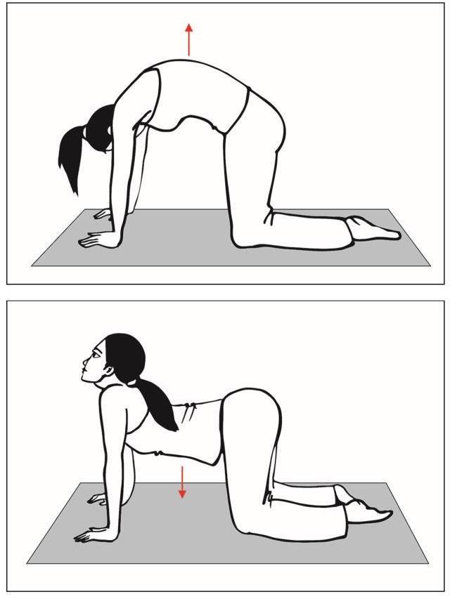 Если потянул мышцу спины и болит поясница что делать. растяжение спины: симптомы и лечение в домашних условиях