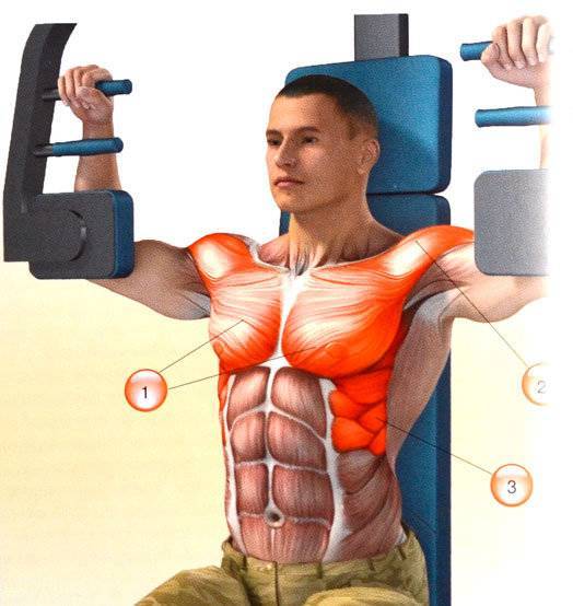 Упражнение бабочка на тренажере для грудных мышц