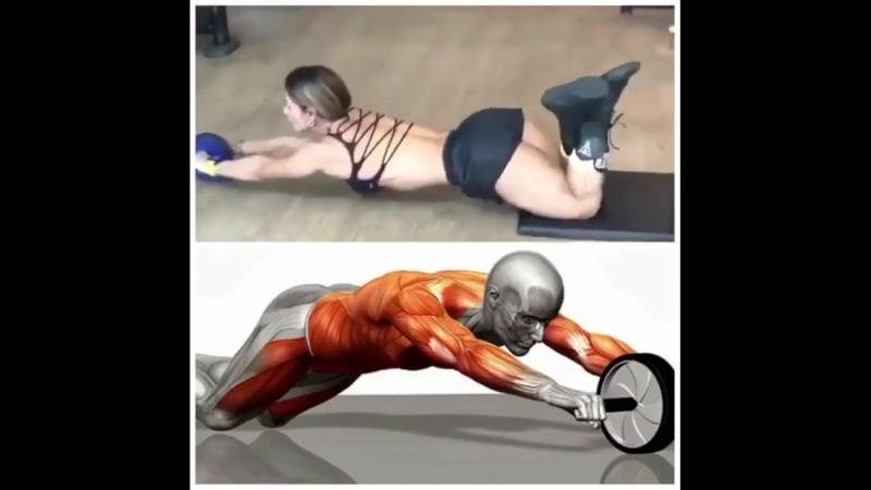 Мышцы кора: упражнения для укрепления мышц кора