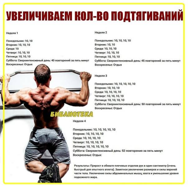 Упражнения и готовые программы тренировок рук для девушек в тренажерном зале | rulebody.ru — правила тела