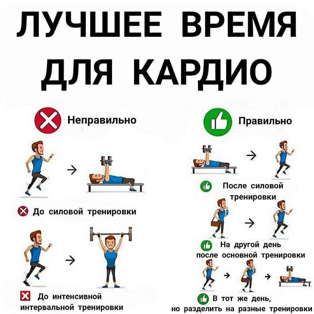 Кардио натощак: преимущества таких тренировок – lifekorea.ru