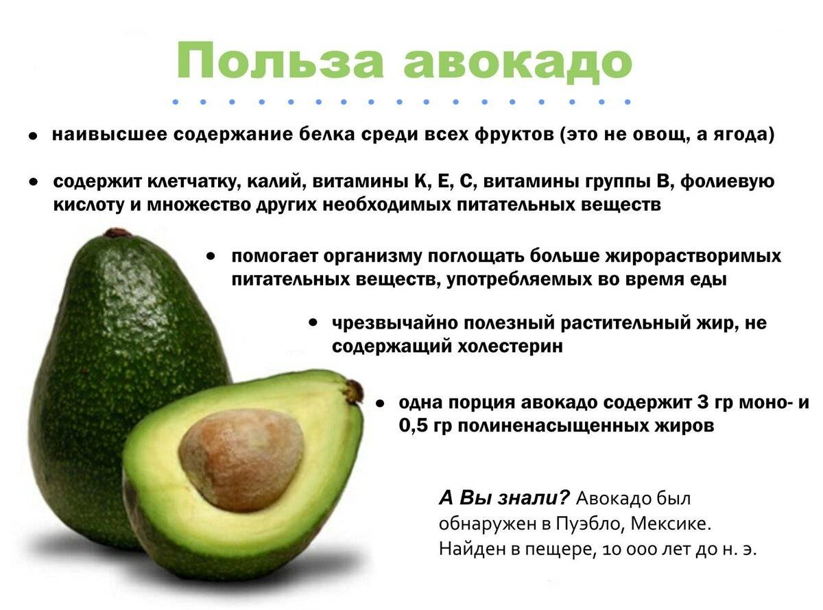 Полезные свойства авокадо для организма: самая полноценная пища на планете?
полезные свойства авокадо для организма: самая полноценная пища на планете?